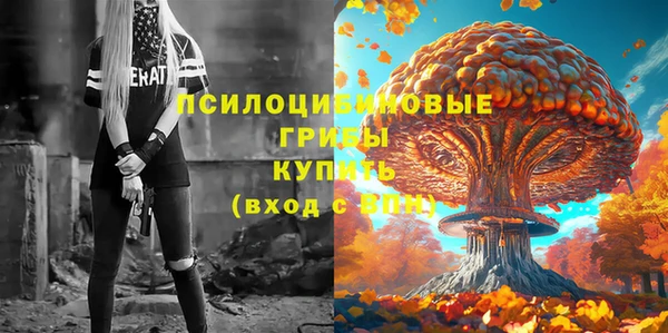 мдпв Горнозаводск