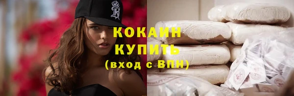 мдпв Горнозаводск