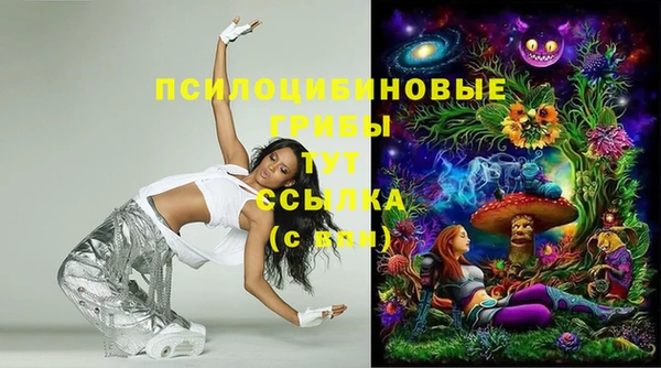 COCAINE Горно-Алтайск