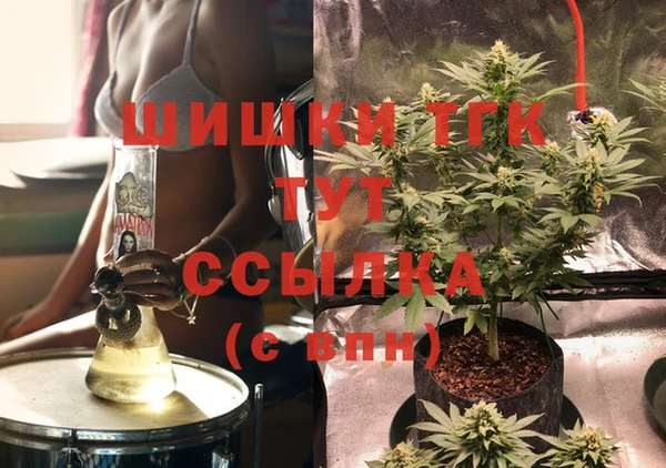 mix Вяземский