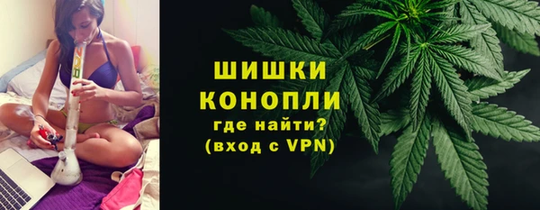 2c-b Горняк