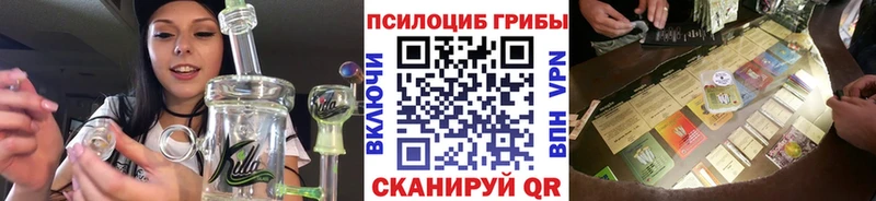 Галлюциногенные грибы Psilocybine cubensis  Купить где  Кемь 