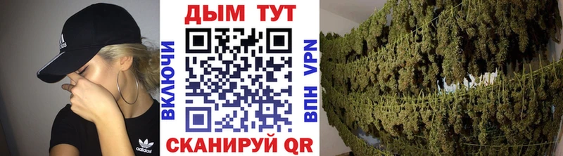 Купить где Кемь Бошки марихуана конопля